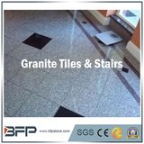 Granite / Marble Stone Slab for Tombstone, Paving, Countertop, Garden