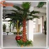 Indoor Decoration Fiber Glass Artificial Palm Tree