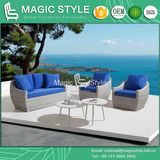 Patio Wicker Sofa Set with Cushion Garden Single Sofa Rattan Weaving 2-Seat Sofa New Wicker Weaving Sofa Modern Wicker Sofa with Tea Table Wicker Tea Table