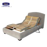 Adjustable Bed with Bed Surrounding