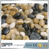 Landscaping River Stone Pebbles with White Black Beige