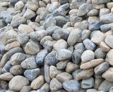 Cheap Natural Black/Yellow/White Pebble Stone for Garden Mosaic