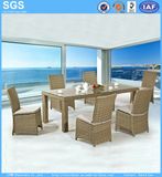 Outdoor Half Round Wicker Rattan Furniture Dining Table Set