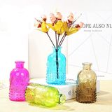 Morden Glass Vase for Home Decoration