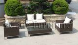 Garden Furniture Set (GS246)