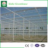 Scientific Research Greenhouse