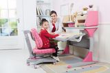 Metal Steel Material Folding Adjustable Kids Study Table HY-S100B