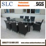 Rattan Outdoor Chair (SC-B8849-BB-T)