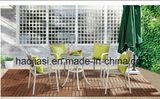 Outdoor /Rattan / Garden / Patio/ Hotel Furniture Rattan Chair & Table Set (HS 1023C&HS6210DT)