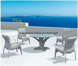 Outdoor Synthetic Rattan Dining Table and Chair Furniture