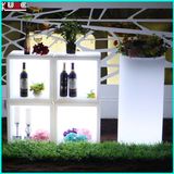 Family Wine Cooler Home Wine Cabinet Plastic Wine Cabinet