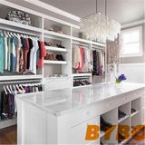 Foshan OEM & ODM Wardrobe (BY-W-161)